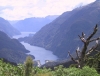 Doubtful Sound looking west with Deep Cove in foreground, from Wilmot Pass road